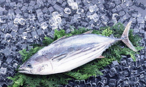 年货采购指南 鲜肉、熟食、水产的挑法门道